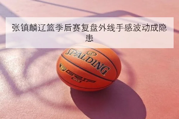 张镇麟辽篮季后赛复盘外线手感波动成隐患